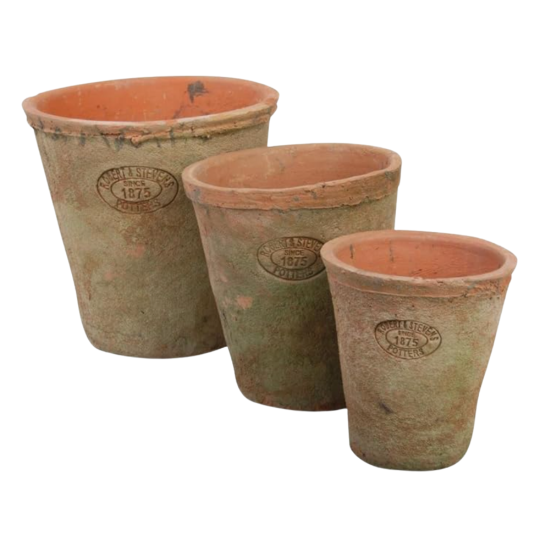 Set of Aged Terracotta Pots – A set of three aged terracotta pots with a weathered patina and embossed detailing, perfect for displaying fresh herbs, flowers, or greenery indoors and out.
