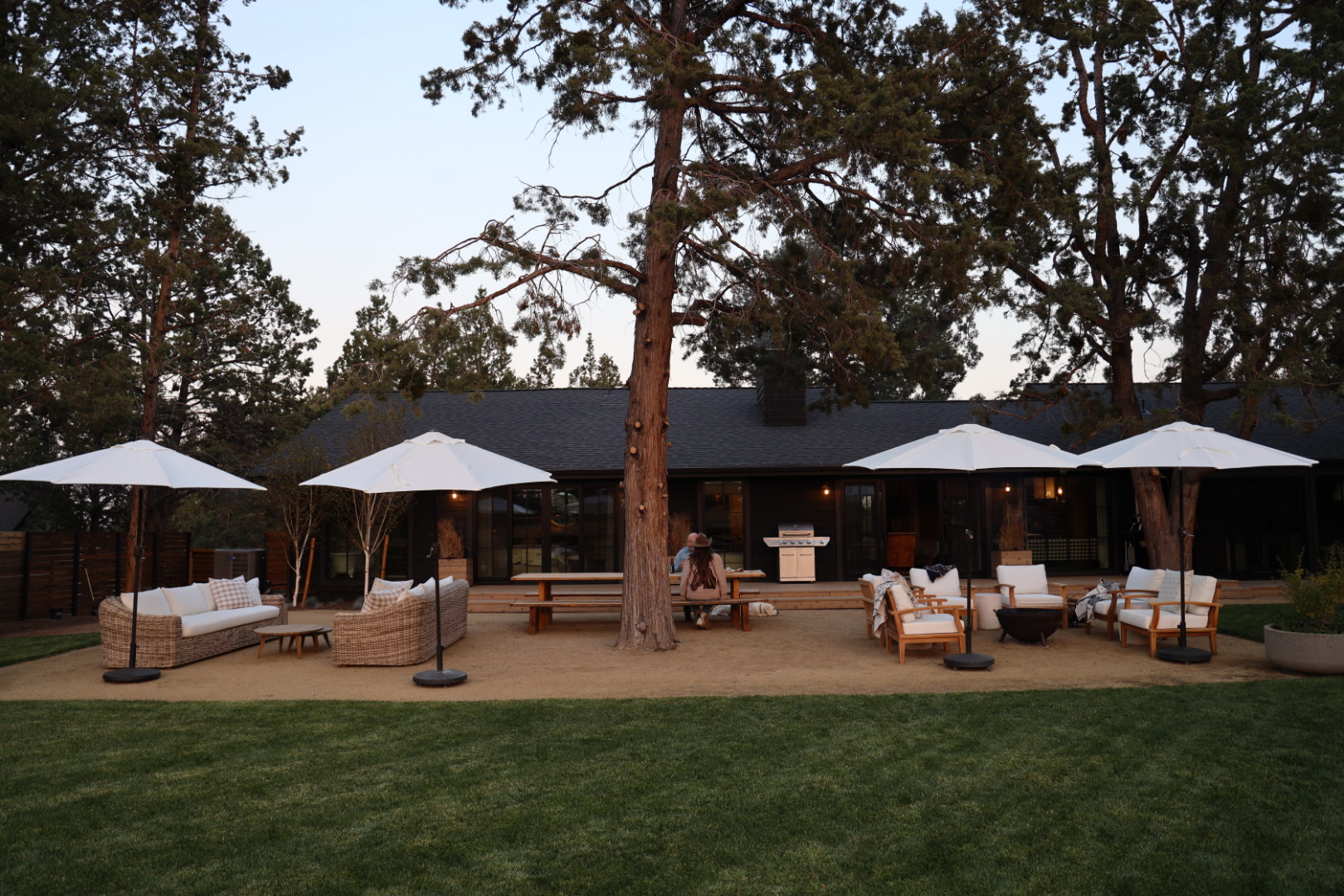 A cozy backyard patio featuring wicker sofas, wooden dining furniture, and white umbrellas beneath tall pine trees at dusk — the space shows potential for a complete outdoor living setup.