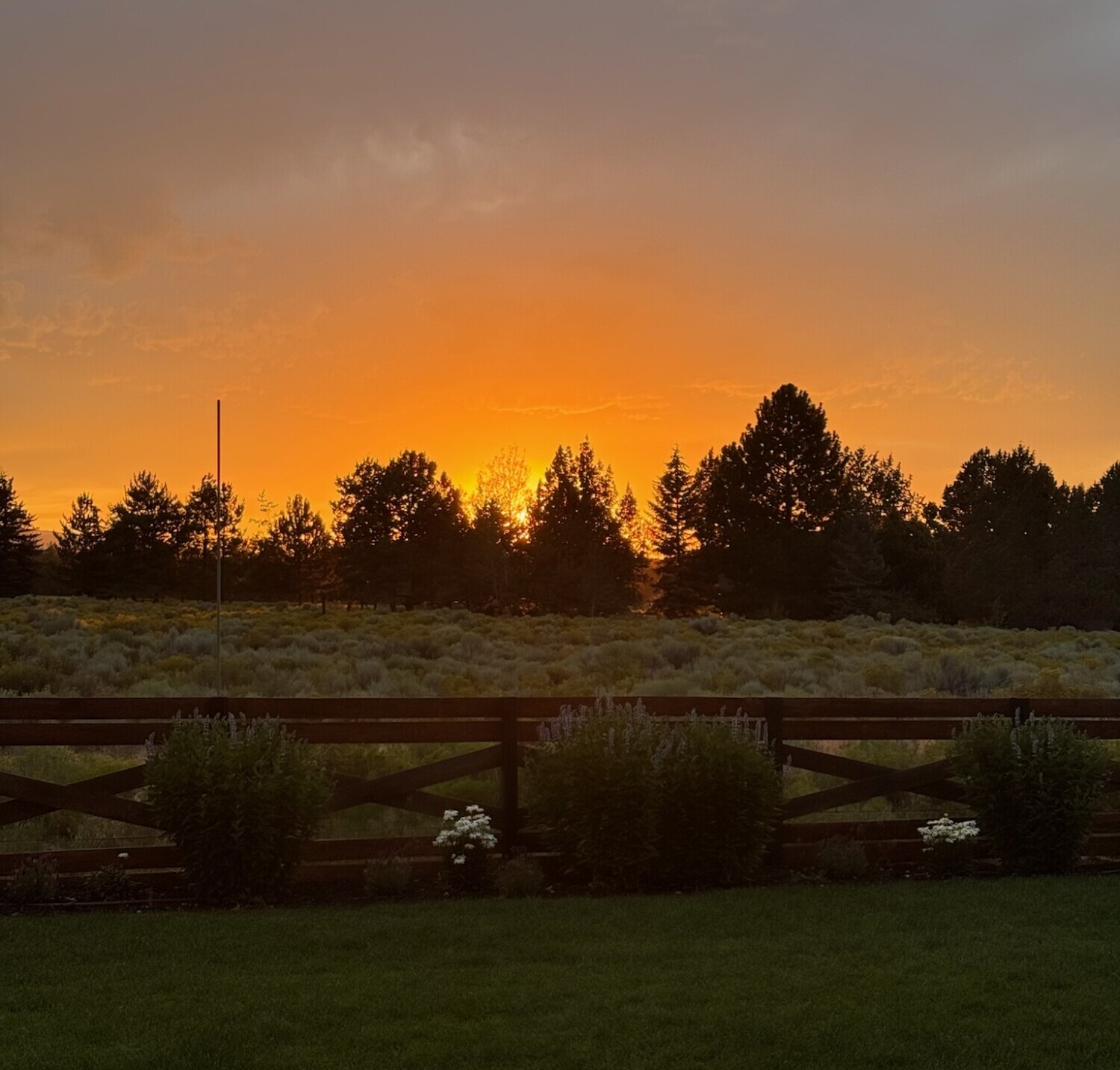 Golden summer sunset casting a warm orange glow over a field of sage and wildflowers, with pine trees silhouetted in the background. A wooden ranch fence and neatly manicured green lawn frame the foreground, capturing a peaceful evening moment in the countryside.