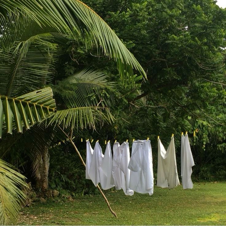 white linen clothes on a clothesline somewhere tropical in the jungle with palms